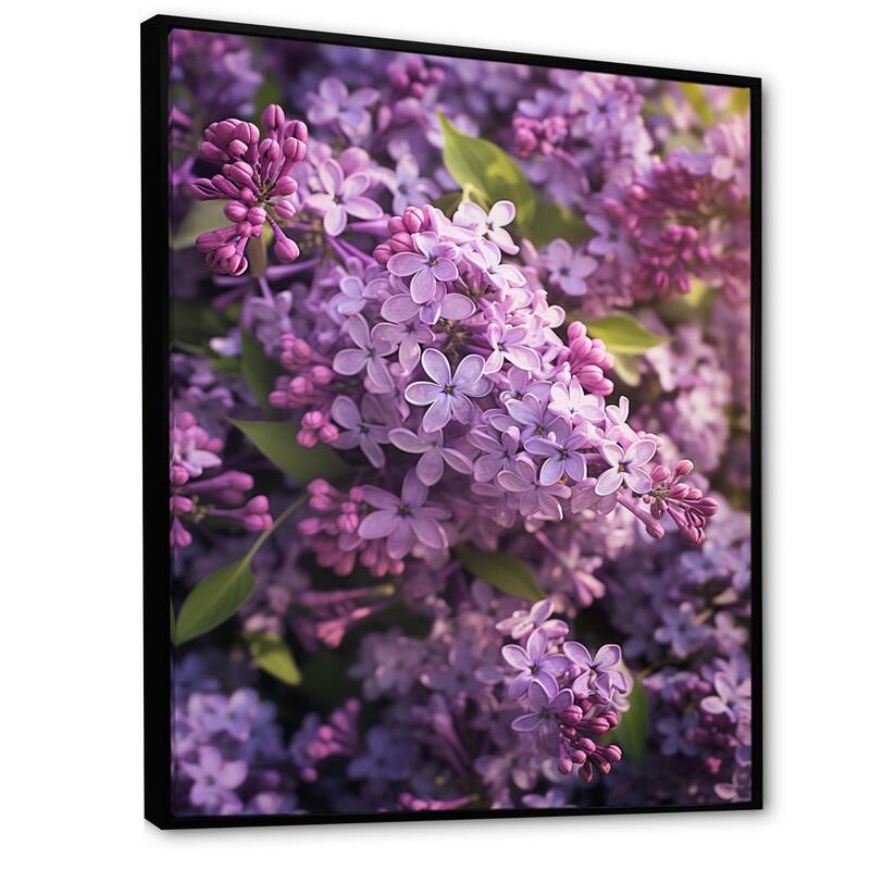 Designart "Purple Lilacs Fragrant Blossoms V" Lilacs Framed Wall Art